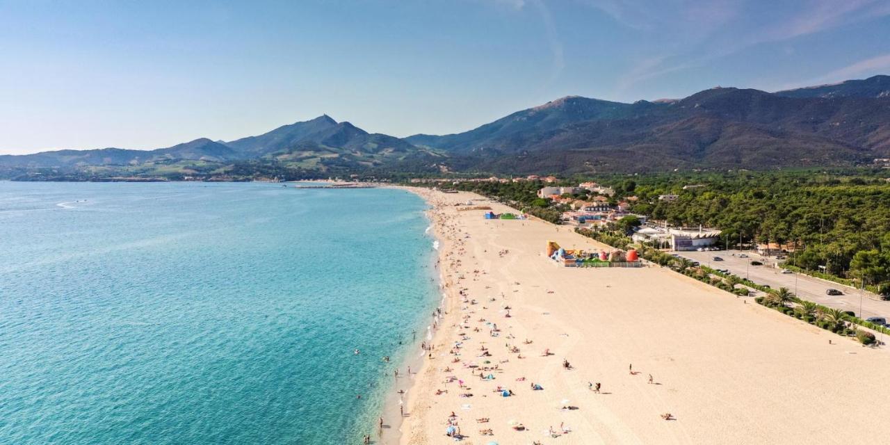 Studio/F1Bis A 50 M De La Plage 아르젤레쉬르메르 외부 사진
